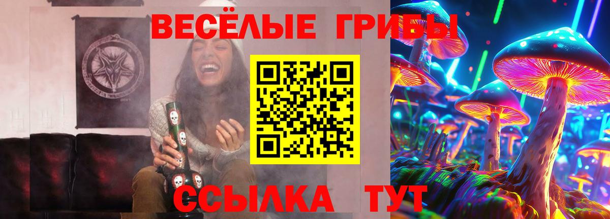 Псилоцибиновые грибы мухоморы  Вход с VPN  Павловский Посад 