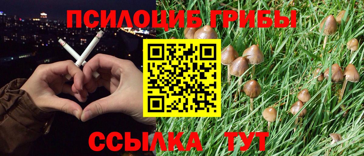 Галлюциногенные грибы Magic Shrooms Павловский Посад
